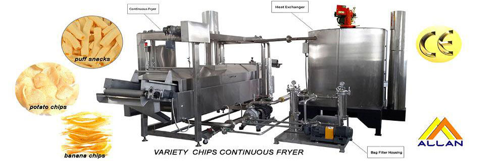 Variety Chips Fryer